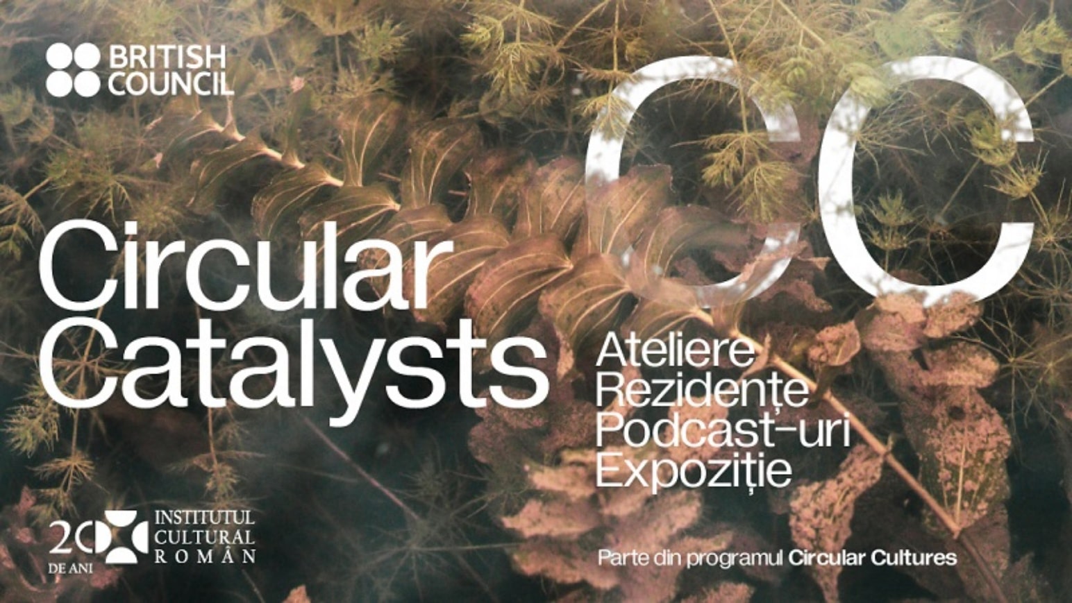 Circular Catalysts un parteneriat sustenabil între designeri, artişti
